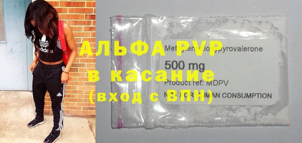 шишки Няндома