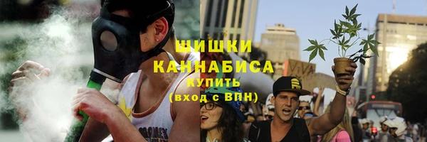 шишки Няндома