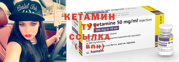 шишки Няндома
