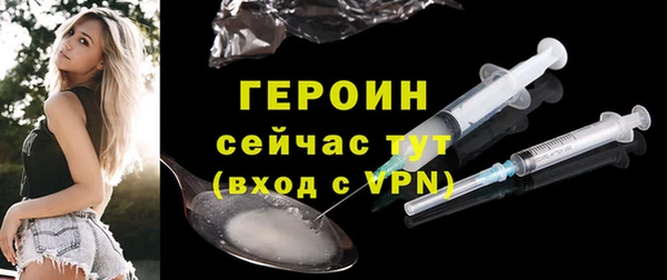 шишки Няндома