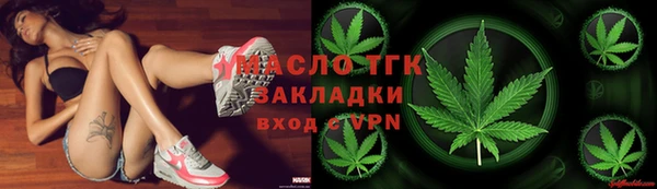 шишки Няндома
