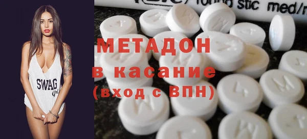 шишки Няндома