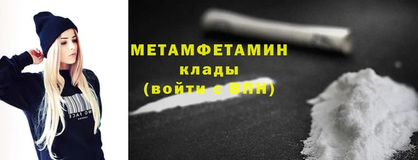 шишки Няндома