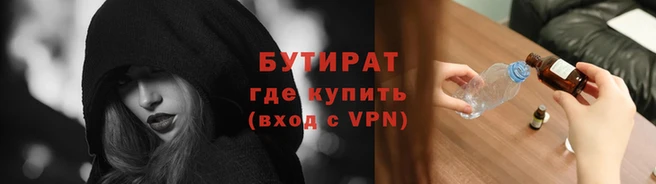 шишки Няндома