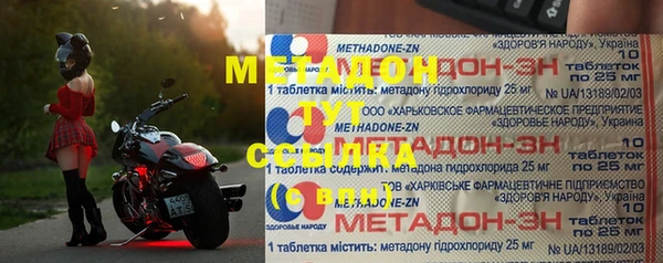 шишки Няндома
