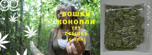 хмурый Болотное