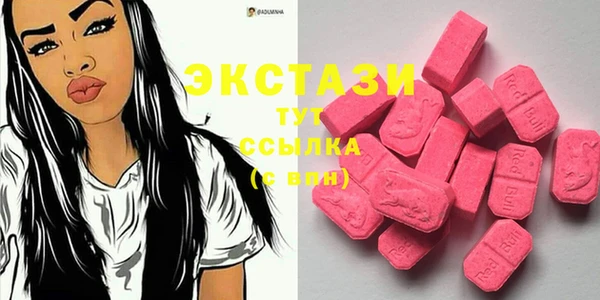 шишки Няндома
