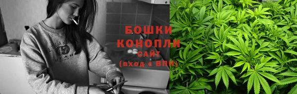 шишки Няндома