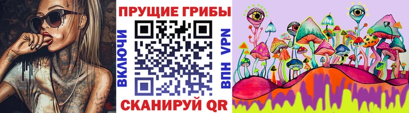 это состав  Новое Девяткино  Псилоцибиновые грибы Cubensis 
